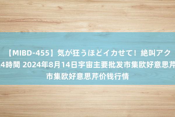 【MIBD-455】気が狂うほどイカせて!絶叫アクメ50連発4時間 2024年8月14日宇宙主要批发市集欧好意思芹价钱行情