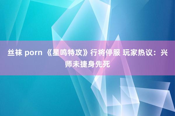 丝袜 porn 《星鸣特攻》行将停服 玩家热议:兴师未捷身先死