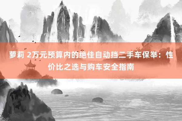萝莉 2万元预算内的绝佳自动挡二手车保举:性价比之选与购车安全指南